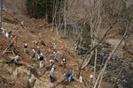 DSC02618.jpg